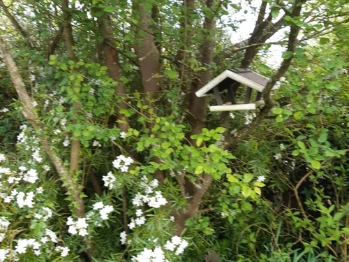 Gîte Luzillé, 3 pièces, 4 personnes - photo_12518125561