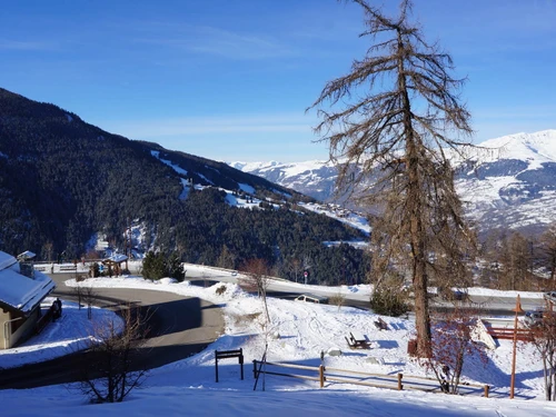 Studio Peisey-Vallandry, studio flat, 4 persons - photo_12573328417