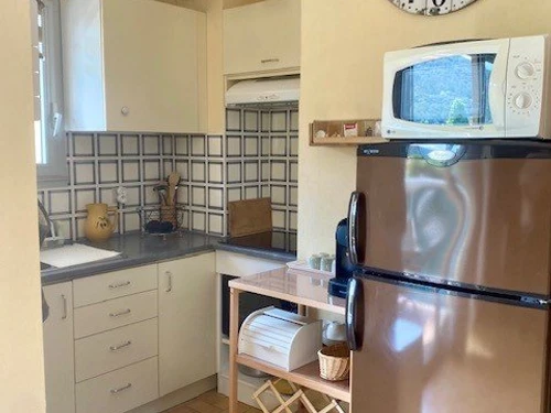 Apartment Amélie-les-Bains-Palalda, 1 bedroom, 3 persons - photo_1011781615879