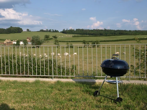 Gîte Anthien, 4 pièces, 5 personnes - photo_1011695353750