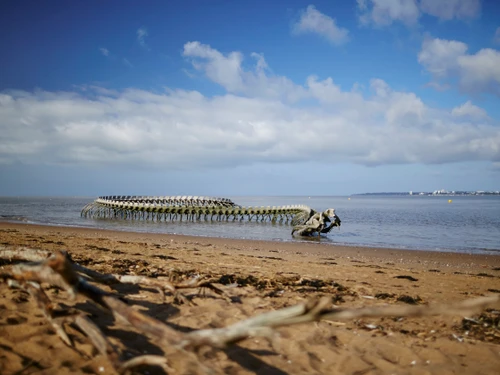 Studio Saint-Brevin-les-Pins, 1 pièce, 3 personnes - photo_17777364549