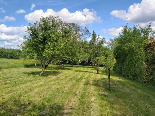 Gîte Nixéville-Blercourt, 4 pièces, 6 personnes - photo_1011785302138