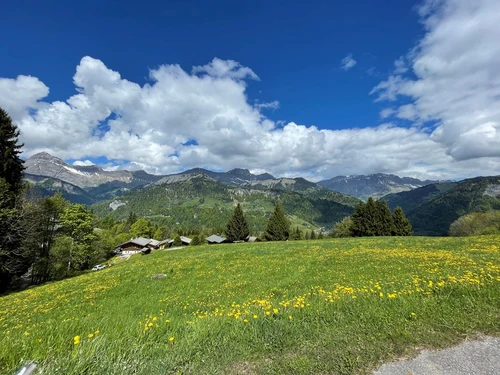 Studio Crest-Voland, 1 pièce, 4 personnes - photo_19386696777