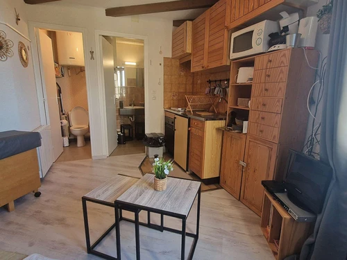 Studio Saint-Michel-de-Chaillol, studio flat, 2 persons - photo_11616825992