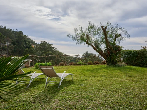 Bungalow Madeira/Calheta, 1 dormitorio, 3 personas - photo_1011789074345