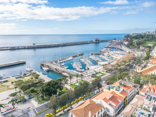 Apartment Funchal, 1 bedroom, 2 persons - photo_1011789079362