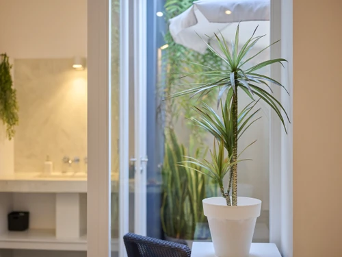 Appartement Funchal, 2 pièces, 2 personnes - photo_1011789082493