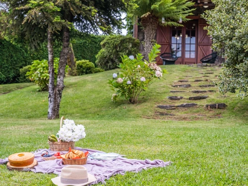 Chalet Madeira/Santana, 3 pièces, 4 personnes - photo_1011789082901