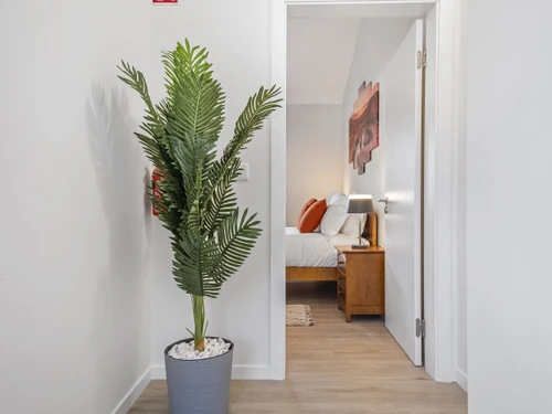 Ferienwohnung Madeira/São Vicente, 1 Schlafzimmer, 2 Personen - photo_1011789083873