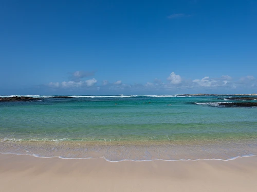 Apartment La Oliva, 1 bedroom, 2 persons - photo_1011741319330