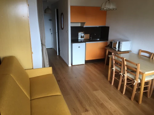 Studio Besse-et-Saint-Anastaise-Super Besse, 1 pièce, 4 personnes - photo_1011687321971