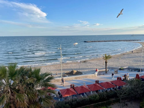 Apartamento La Grande-Motte, 1 dormitorio, 4 personas - photo_1011582514348