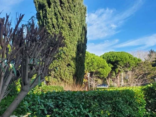 Studio La Grande-Motte, 1 pièce, 4 personnes - photo_19115395958