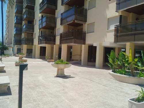 Apartment Gandía, 3 bedrooms, 6 persons - photo_1011769160585