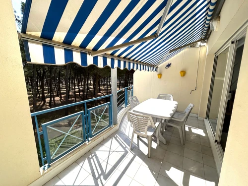 Appartement Argelès-sur-Mer, 2 pièces, 4 personnes - photo_1011795516652