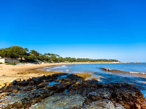 Apartment Vaux-sur-Mer, 1 bedroom, 5 persons - photo_1011770136232