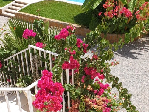Ferienhaus San Juan De Los Terreros, 3 Schlafzimmer, 6 Personen - photo_1011800485817