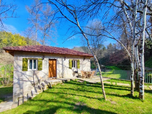 Gîte Marco de Canaveses, 3 pièces, 5 personnes - photo_1011715890939
