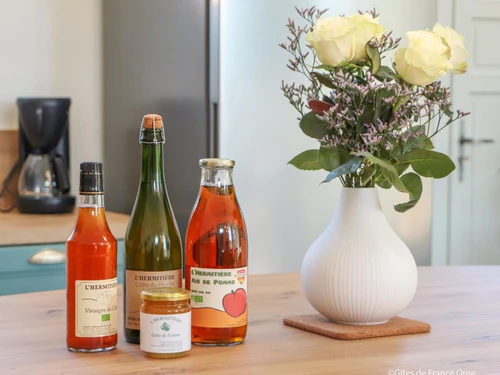 Gîte Val-au-Perche, 5 pièces, 15 personnes - photo_1011768543393