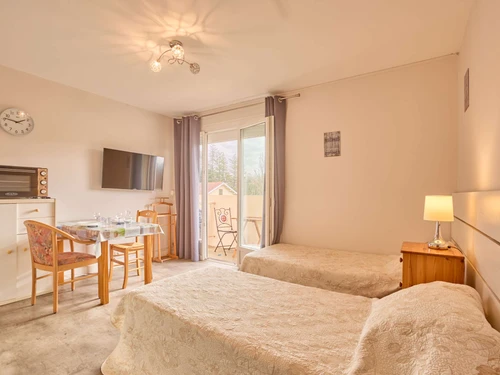 Studio Barbotan-les-Thermes, 1 pièce, 2 personnes - photo_1011821534464