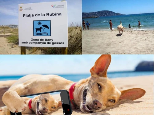 Apartment Empuriabrava, 2 bedrooms, 6 persons - photo_19081729059