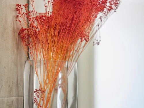 Appartement Lisbonne, 4 pièces, 8 personnes - photo_1011825554878