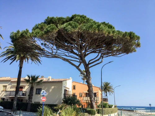 Ferienwohnung Sainte-Maxime, 1 Schlafzimmer, 4 Personen - photo_1011828113907