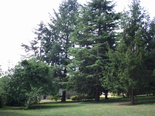 Gîte Saint-Hilaire-sur-Benaize, 3 pièces, 4 personnes - photo_1011829713126