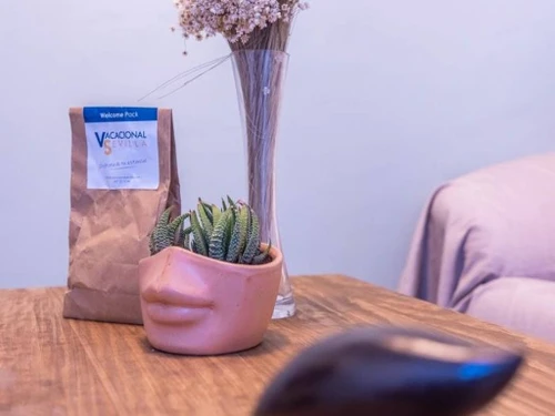 Apartamento Sevilla, 1 dormitorio, 2 personas - photo_1011830380411