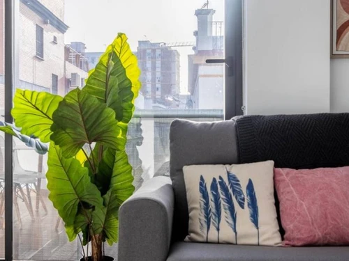 Apartamento Sevilla, 2 dormitorios, 4 personas - photo_1011830381703