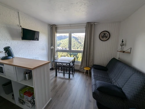 Estudio Le Lioran, estudio, 4 personas - photo_1011713501609