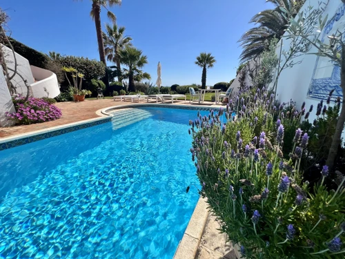 Gîte Carvoeiro, 3 pièces, 4 personnes - photo_1011835315830