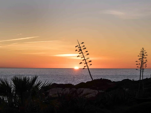 Gîte Carvoeiro, 3 pièces, 4 personnes - photo_1011835315830