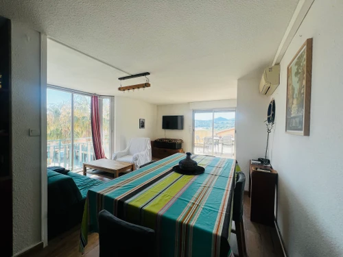 Appartement Argelès-sur-Mer, 2 pièces, 4 personnes - photo_19546541324