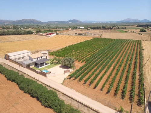 Villa Muro, 3 pièces, 4 personnes - photo_1011840668570