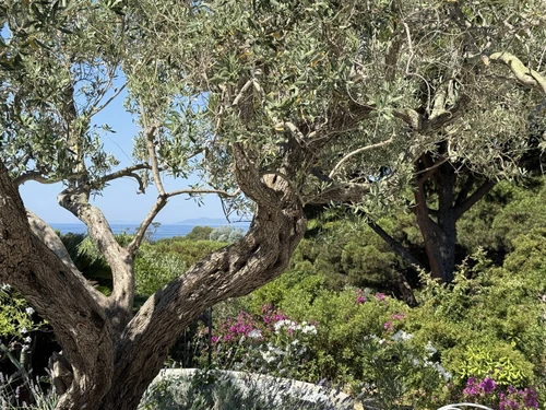 Villa La Croix-Valmer, 4 bedrooms, 8 persons - photo_1011841630938