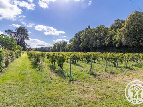 Gasthaus Blaison-Saint-Sulpice, 8 Schlafzimmer, 15 Personen - photo_1011843803470