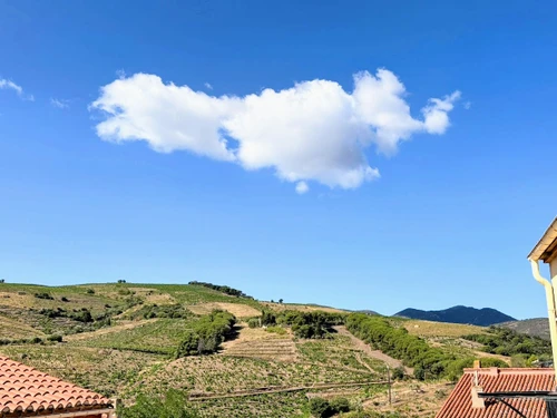 Maison Banyuls-sur-Mer, 3 pièces, 6 personnes - photo_1011844843913