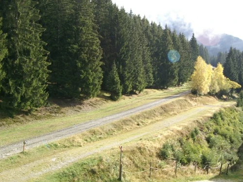 Appartement Les Adrets-Prapoutel, 1 pièce, 3 personnes - photo_14821544324