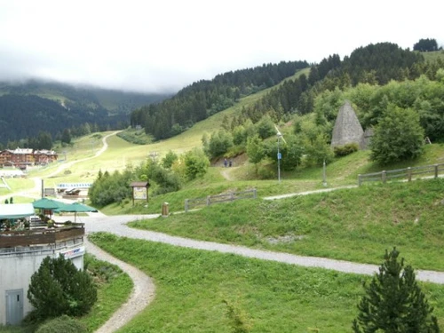 Appartement Les Adrets-Prapoutel, 1 pièce, 2 personnes - photo_14821539385