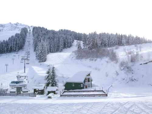 Appartement Les Adrets-Prapoutel, 1 pièce, 3 personnes - photo_14821549543