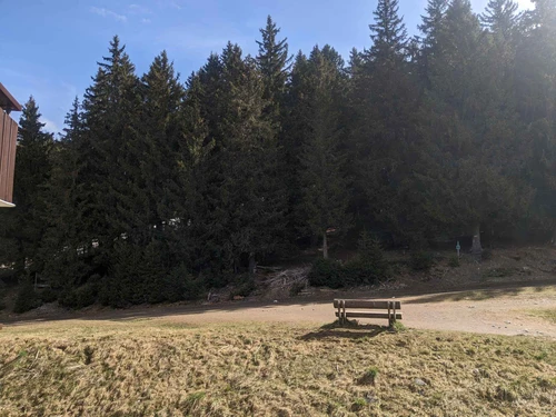 Appartement Les Adrets-Prapoutel, 2 pièces, 6 personnes - photo_14821548728