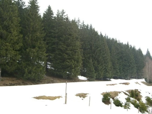 Appartement Les Adrets-Prapoutel, 2 pièces, 6 personnes - photo_14821548728