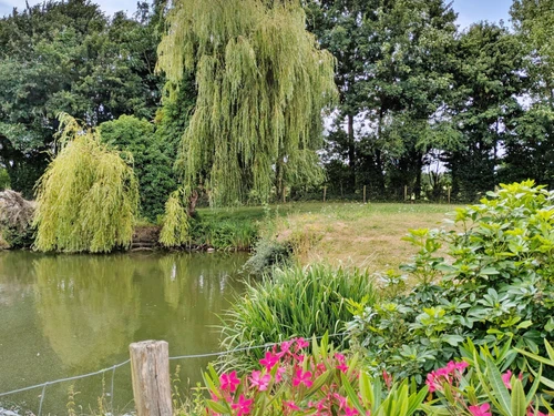 Gasthaus Cossé-le-Vivien, 3 Schlafzimmer, 6 Personen - photo_15084977026