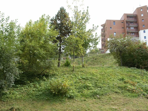 Appartement Les Adrets-Prapoutel, 1 pièce, 3 personnes - photo_14823063449