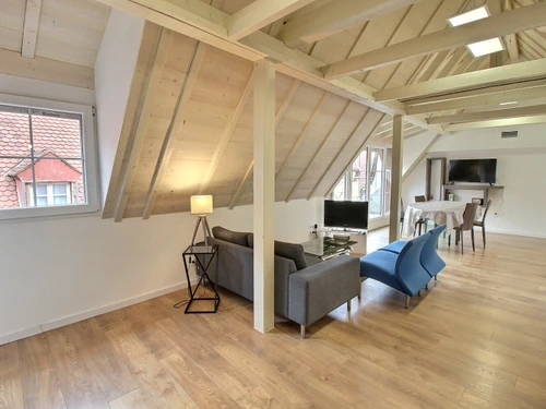 Ferienwohnung Colmar, 2 Schlafzimmer, 4 Personen - photo_1011847091100