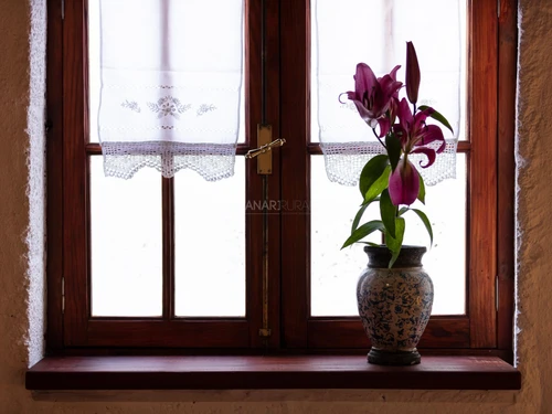 Gasthaus Arico, 2 Schlafzimmer, 4 Personen - photo_1011653467200