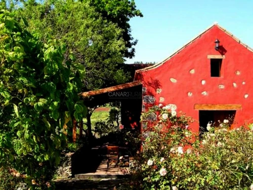 Gasthaus Carretera Moya Palmital, 2 Schlafzimmer, 4 Personen - photo_1011653472589