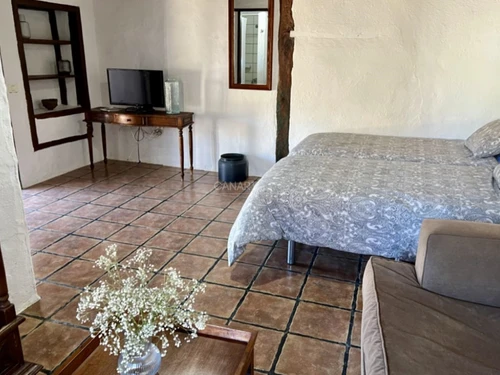 Gîte Adeje, 3 pièces, 4 personnes - photo_1011700333591