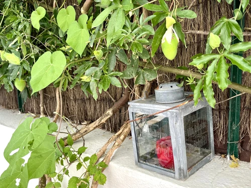 Casa Groix, 3 dormitorios, 6 personas - photo_1011685442428